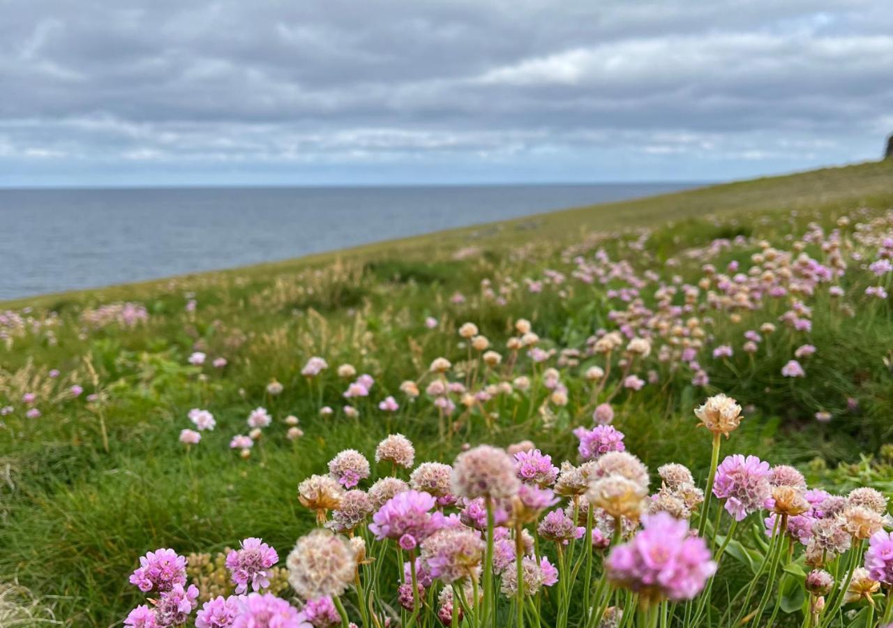 Loop Head Lighthouse Attendant'S Cottage Kilbaha Kültér fotó
